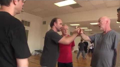 Ji and PLJA - Teaching moments with sifu Adam Mizner