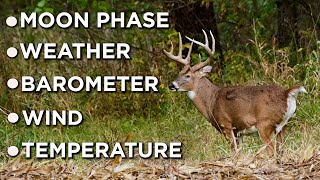 WHAT Conditions ACTUALLY Affect Deer Movement?!? | Moon Phase | Barometer | Weather