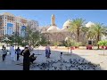 Pigeon square near masjid e ghamama at the corner of masjid e nabawi