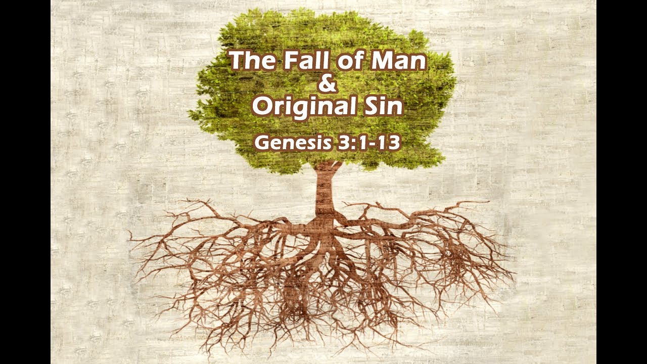 The Covenant of Circumcision