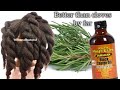 Regrow thicker hair with Jamaican black castor oil &amp; Rosemary for hair growth! No jokes .