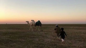 تِلاوة آسِرةٌ لِسورةِ النِّساء | عبدالرحمن الماجد