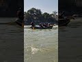 Rafting in Rishikesh #shorts #viralshorts #rafting