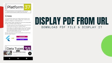 How to Display PDF from URL - PDF App