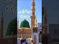 Teri Nasl e Pak me hai Bacha Bacha Noor ka | #shorts #foryou #naat
