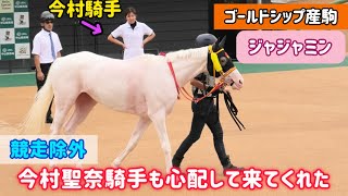 【ゴールドシップ産駒】木幡育也騎手が担架で運ばれる…競走除外のジャジャミンをデビュー戦騎乗の今村聖奈騎手も気にかけてくれた