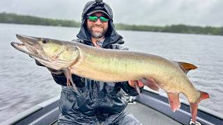 All-Day Rain + Loaded Reefs = MUSKY MAYHEM!
