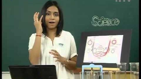 iTTV PMR/PT3 Form 3 Science #3 Blood Circulation & Transport (Blood Vessels and Their Functions)