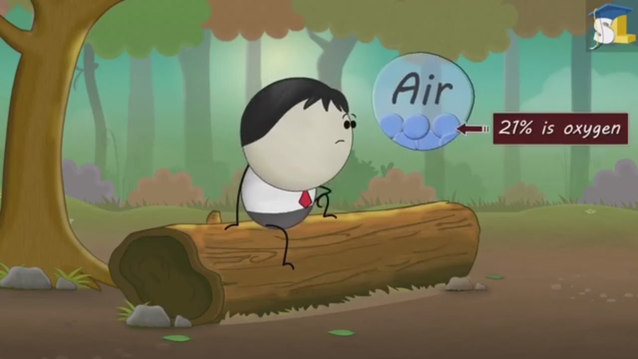 Can pure oxygen kill you kids education science learn Life Facts