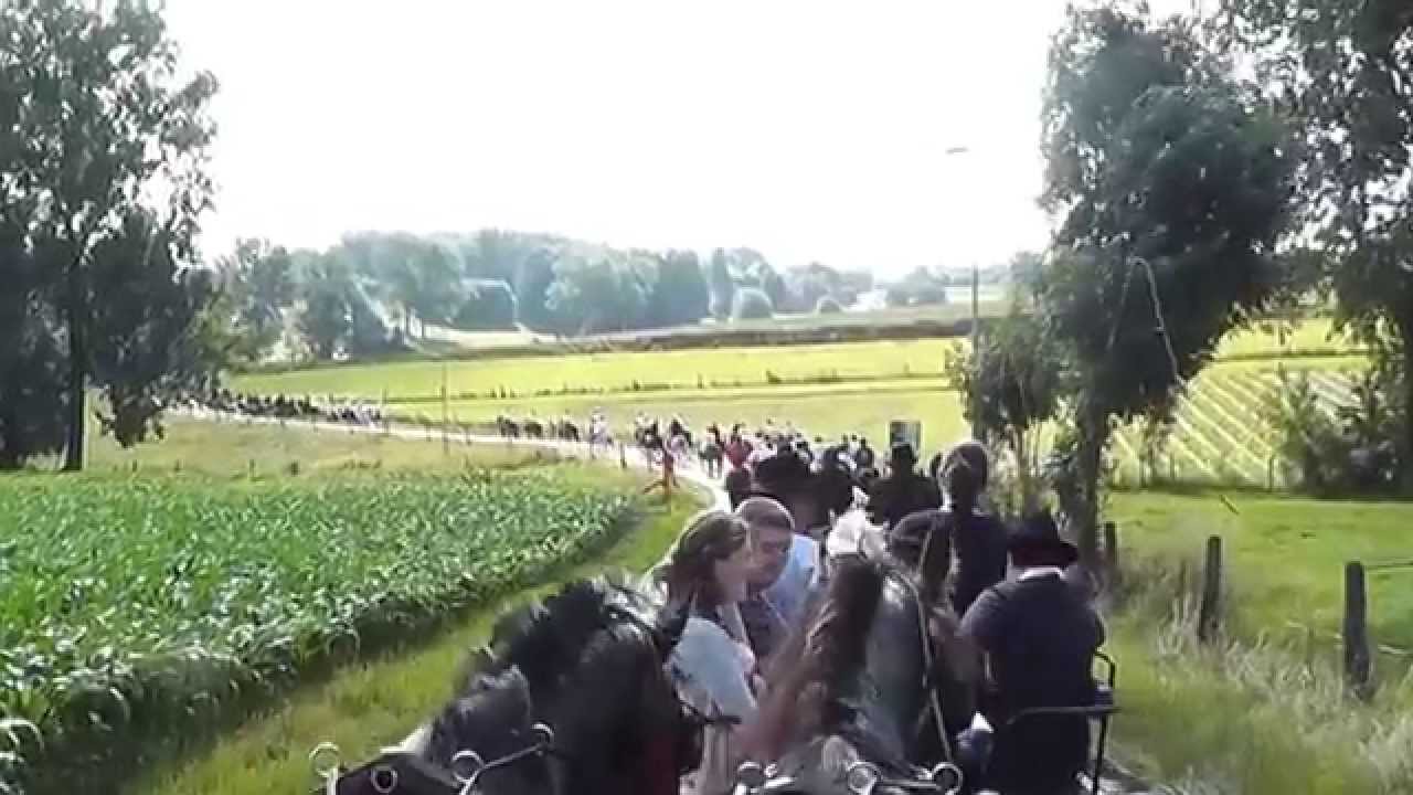 Sint Amelberga Mater 2013