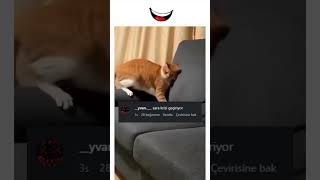 Biraz Abartmadın Mı Sence De