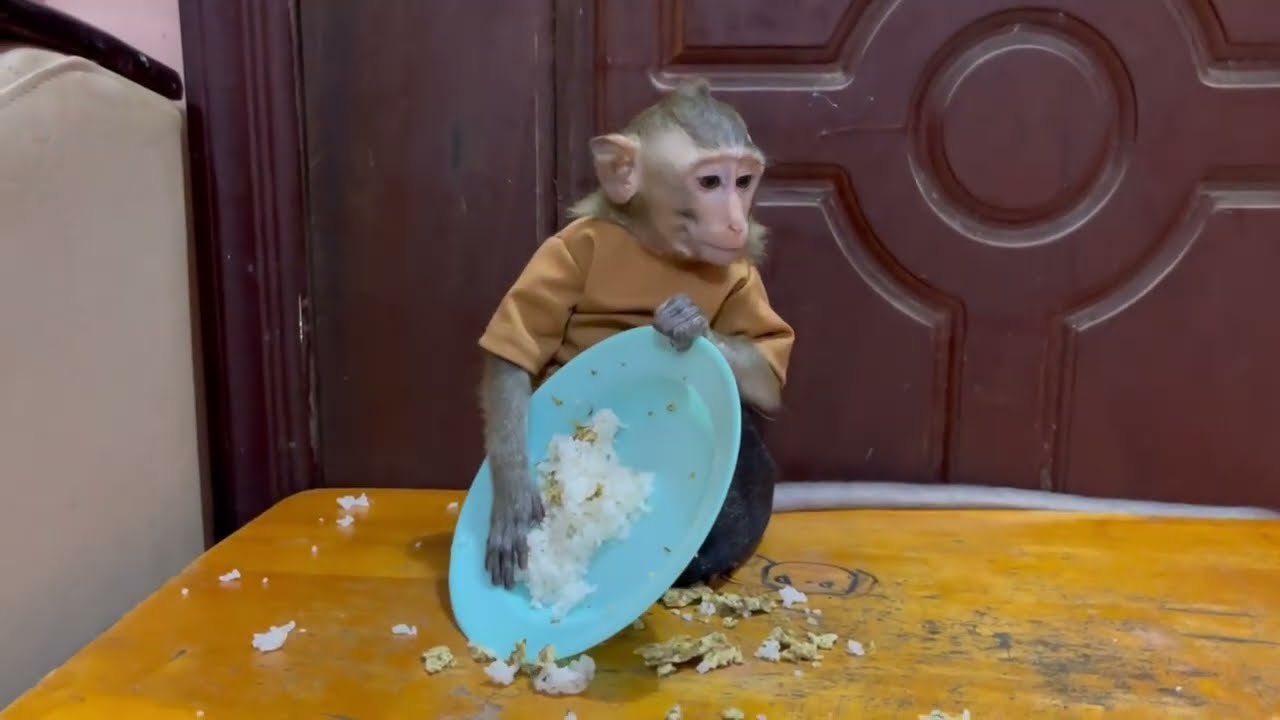 Oo..!! Koy put rice out when mom busy, she make mom anqrrii with her 