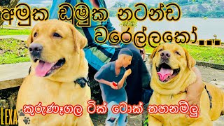 අමුක ඩුමුක නටමුදෝ../amuku dumuku damal dumal