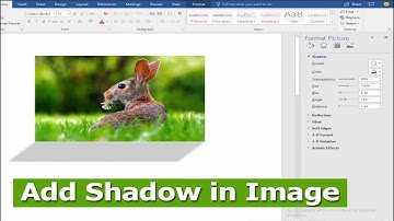 How to Add Image Shadow in Microsoft Word 2017
