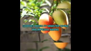 ndekalapo nokutontonkanya eco mango ipila ubushiku Walimpesha Amano welesa Godfrey ft Divine