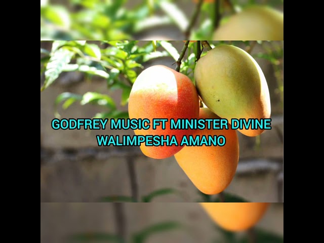 ndekalapo nokutontonkanya eco mango ipila ubushiku Walimpesha Amano welesa Godfrey ft Divine class=