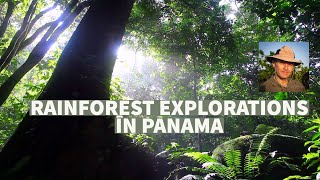 Rainforests explorations in Panama