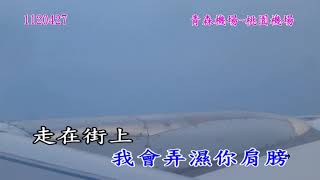 1120423日本東北之旅_89一個人的我依然會微笑(林佳儀)