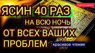 Сура Ясин 40 раз, От всех ваших проблем, от джинов, порчи и сглаза, врагов и злых людей Surah Yaseen