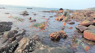 赶海竟发现“龙虾制造地”有年头的又大又多看着真让人眼红