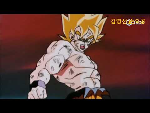 A Collection of Comebacks from Son Goku (Kim Hwan-jin & Kim Young-sun)