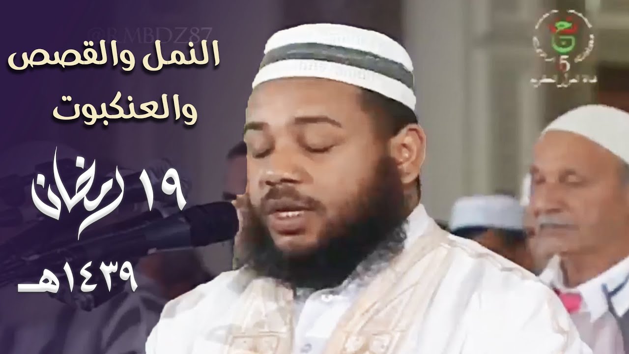 خشوع وتحبير وطمأنينة في تلاوة هذه الليلة المميزة للشيخ د. عبدالمطلب بن عاشورة - 19 رمضان 1439هـ