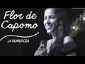 Flor de Capomo, María inés Ochoa, Festival de huapango arribeño