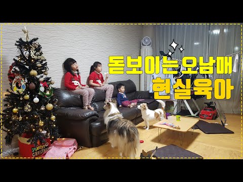 스시존