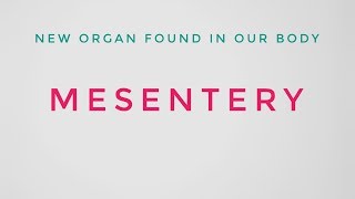 NEW ORGAN FOUND-  MESENTERY