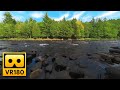 Relax in 5 Minutes with Nature Sounds in VR180 - 3D Virtual Reality Experience with Ambisonics Audio