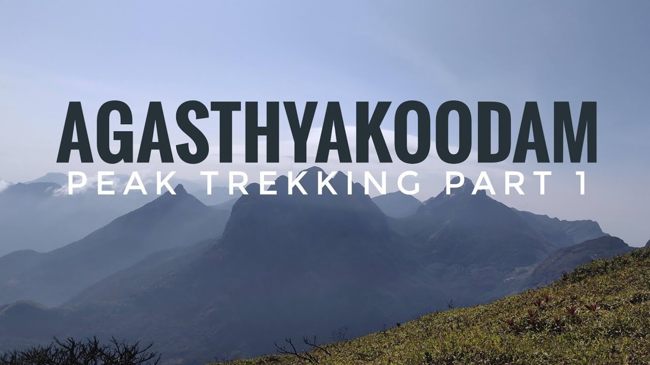 Agasthyakoodam Peak Trekking - Day 1/2