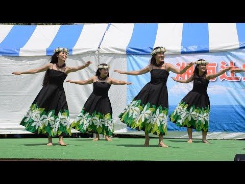 Koali　Ku'u Nalani Hula Studio　vol.4　湘南辻堂四季まつり2018"初夏"