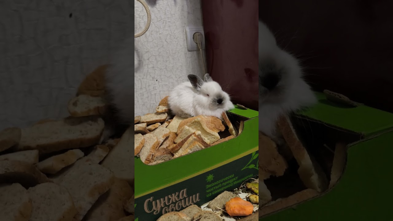 Начальник склада и Компания,,,!!! 