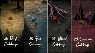 All 100 Cabbage Locations (The Good Thing About Cabbage... Quest) - Vampire's Fall 2