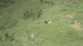Goat shooting with the 7mm RUM and 180gr Berger VLD 3180fps Part 3