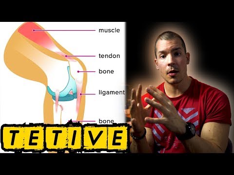 Video: Gdje je tetiva bicepsa?