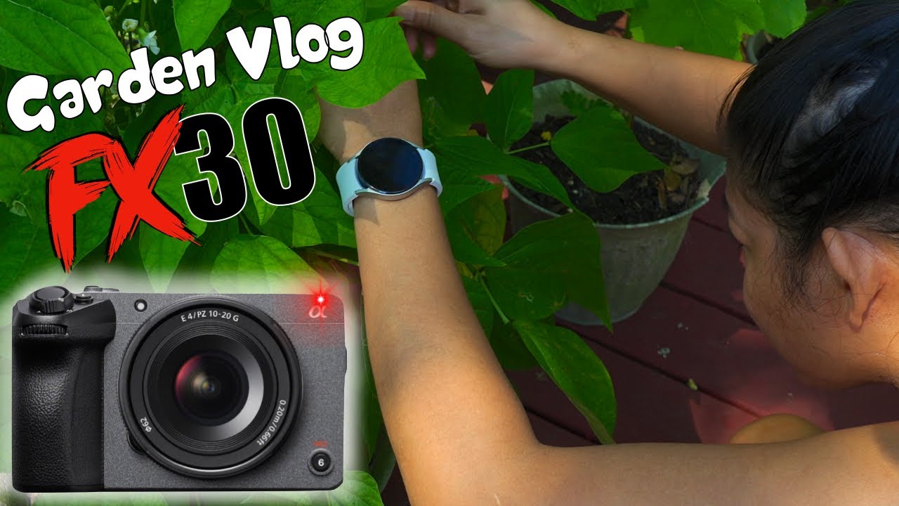 Just another boring Garden Vlog • Sony FX30 • E PZ 10-20mm F4 G