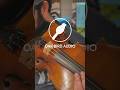 How I built the theme song for @flaming_stars_podcast #viola #musicproducer