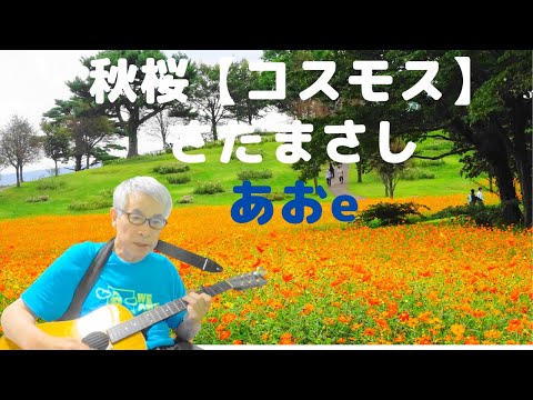 秋桜【コスモス】（歌詞入り）さだまさし　カバーｂｙあおe