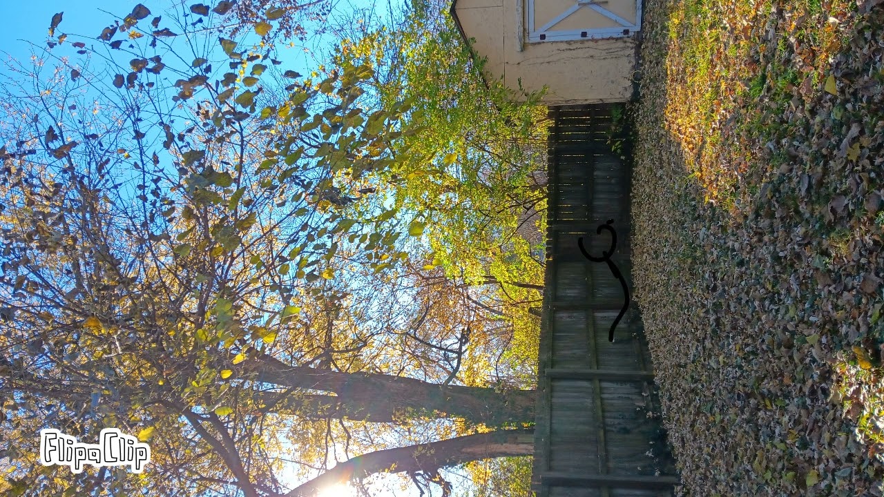 When Balloons Loose Helium.