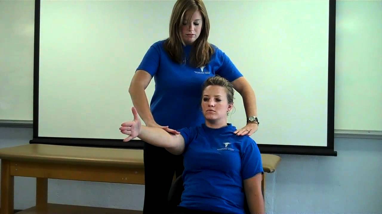 Manual Muscle Testing Shoulder