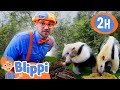 Blippi meets cool animals at the zoo  blippi  educational kidss  moonbug kids