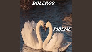 Video thumbnail of "Boleros - Te Lo Pido Porfavor"
