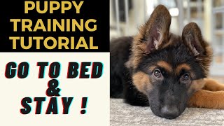 Puppy Training: Settle on a Station! (WEEK 3) by Training Positive 8,436 views 2 years ago 7 minutes, 53 seconds