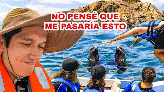 No pensé que me pasaría esto NADANDO CON LOBOS MARINOS | Jordy Aventurero