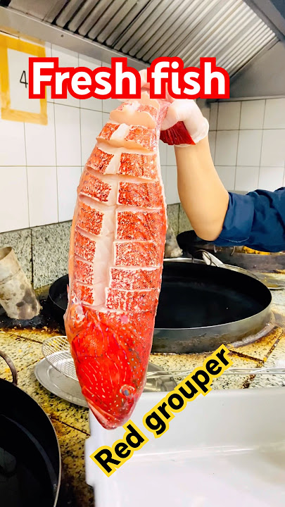 Fresh fish red grouper #friedfish #indonesia #viralvideo #instagram #tiktok #feedshorts