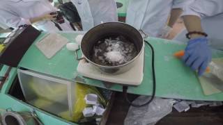 General Pathology - Tissue Processing