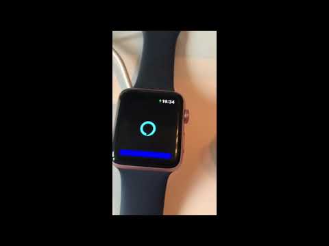 Voice in a Can: Alexa on your Apple Watch (beta)