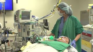 ANEclear Use In Spontaneously Breathing Patients