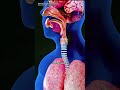 Why Does Food Come Out of Your Nose? #FoodOutOfNose #NasalRegurgitation #3DMedicalAnimation